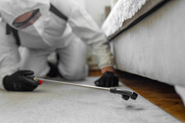 Professional Bed Bug Control technician working in Mills, WY