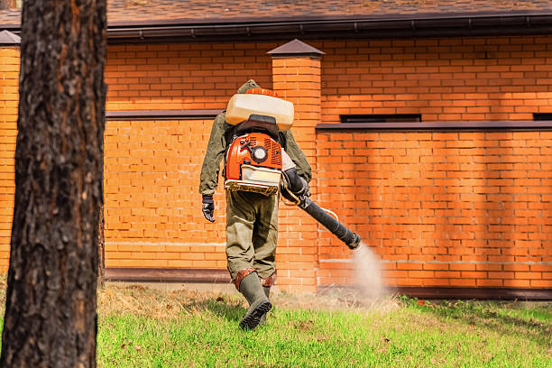 Trusted Fumigation Services service in Mills, WY - Nex Pest Control